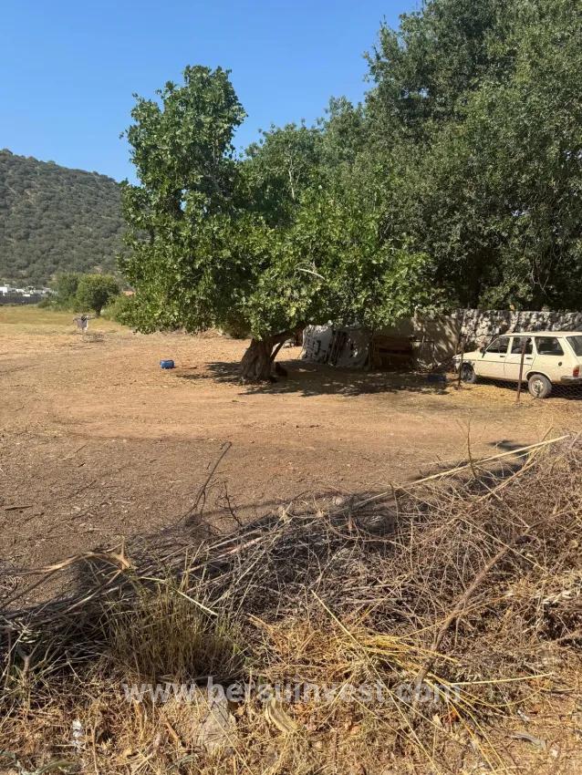 Field For sale in Kayaköy Nbh. Fethiye - Field Zoned - 5.203 m²